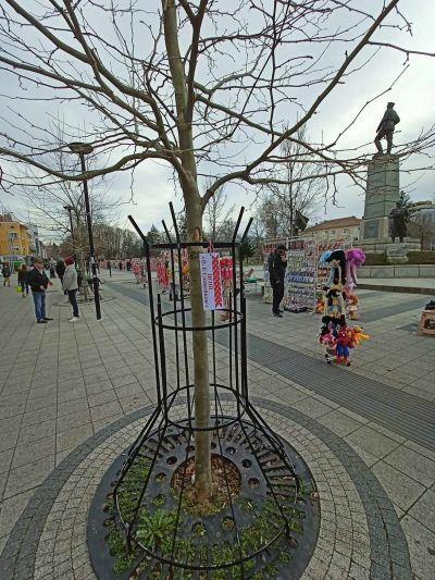 1 - ЦСОП П. Р. Славейков - Плевен